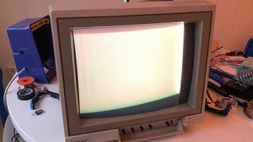 Commodore 1084S-P display won