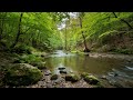 8 HOURS of Deep RELIEF MusicMELTS Stress & Anxiety Away (Ultimate Alpha Waves) FINALLY, Peace.53