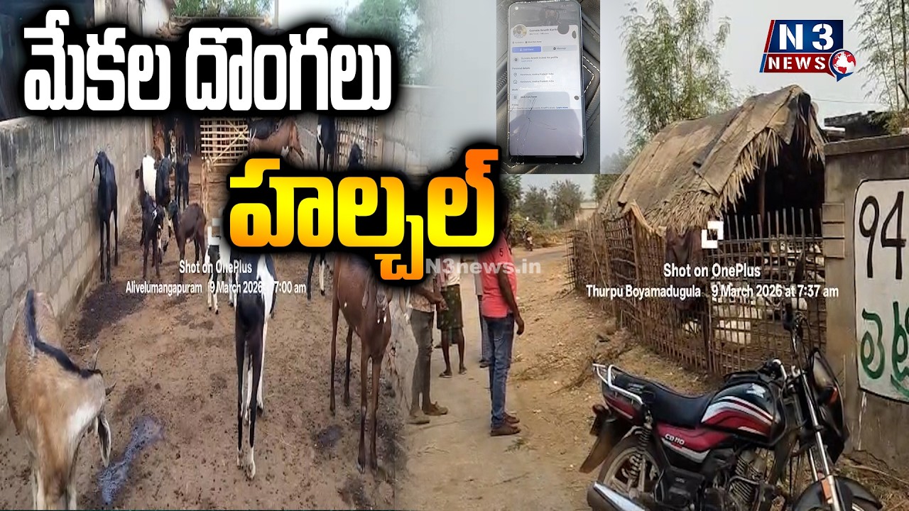 ||Halchal, thieves of goats|| మేకల దొంగలు హల్చల్