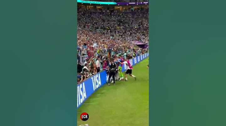 GOLAZO ENZO FERNANDEZ desde la CANCHA 🇦🇷Argentina 2 - 0 México #shortfifaworldcup