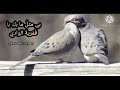 قصيدة بي مثل ما بك يا ق مرية الوادي