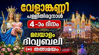 വേളാങ്കണ്ണി പളളിതിരുനാള്‍ 4-ാം ദിനം മലയാളം ദിവ്യബലി തത്സമയം  | velankanni Feast 2026 | vox live screenshot 1