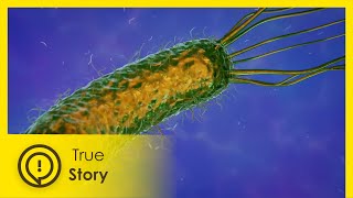 Hyper Intelligence - Forging the Future 5/6 - True Story Documentary Channel