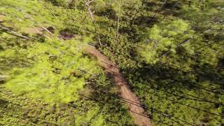 Flip32 f4 durability test