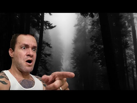 SCARY VIDEOS YOU CAN'T WATCH ALONE!