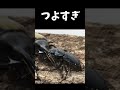 ヘラクレスオオカブトvsオオクワガタ