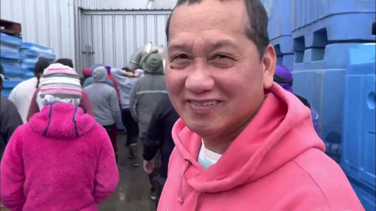 Copper River Seafoods Fish Processors Cordova Alaska 🇺🇸 YouTube