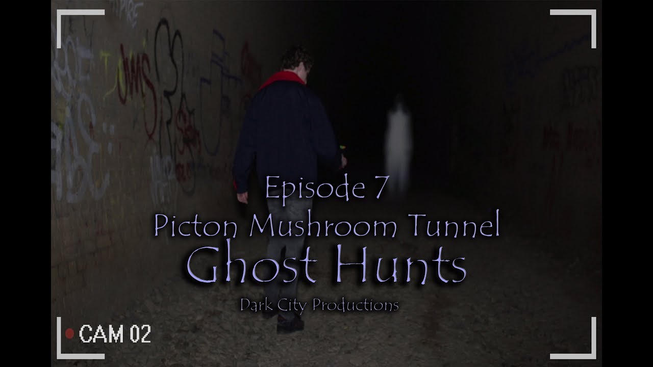 Inside Picton’s Haunted Mushroom Tunnel