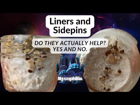 Do Liners Actually Work? A Discussion on Liners and Sidepins. Growing Mushrooms at Home