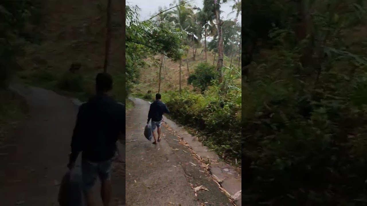 Magandang View ng Entrance sa ALiw Falls