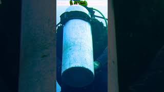 Oxygen Phytoplankton #shorts #phytoplankton #tamil