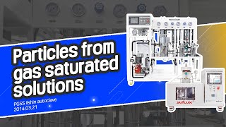 Supercritical Making Nanoparticle System-PGSS (Particles from Gas Saturated Solutions)