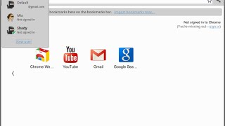 Open Multiple Account in Chrome with different Proxies Open Multiple Account in Chrome with different Proxies