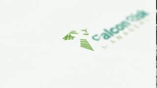 Falcon Risk Management Logo Animation