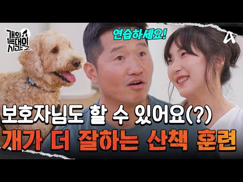 공격성 없애는 <strong>산책</strong> 훈련 | 개와 늑대의 시간2 30 회