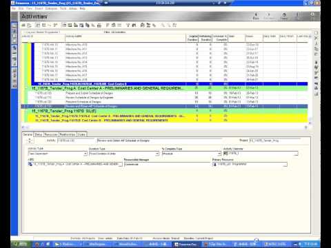 P6 PPM UI Automation