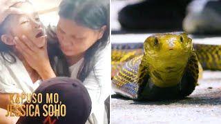 8-Anyos Na Batang Natuklaw Ng Makamandag Na Cobra, Ipinag-Pray Over? Kapuso Mo, Jessica Soho
