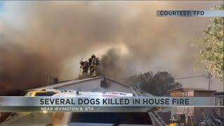 Several dogs die, nine residents displaced in Saturday morning house fire on Southside