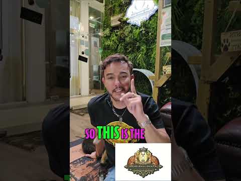 Stop Kitten Biting NOW! (2 EASY Tricks)