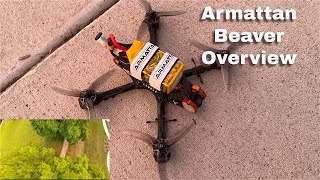 First 5 Inch Freestyle  Armattan Beaver