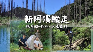 解封後的阿溪縱走/路況變得如何呢?超多倒木雜草叢生/眠月線鐵道經整修後更安全 !?