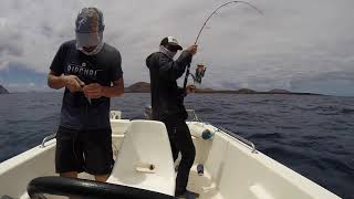 Grouper on jigging tackle in Lanzarote by Costafishingservice guide.
