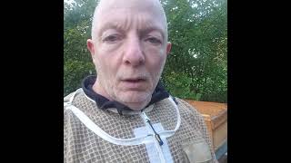 Ameisensäure Behandlung #imkerei #bienen #honig #beekeeping #imkerei wabengold