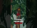 PEAK - Is Game Fun ? #coop #gaming #indiegame
