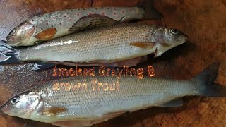 Catch & Cook - Grayling (Lady Of The Stream) & Wild Brown Trout, Smoked Over Oak Wood Chips