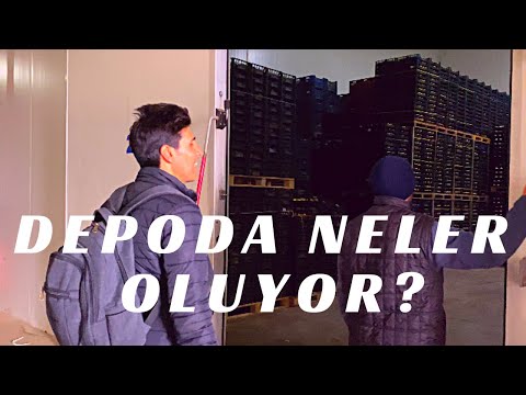 Video: Soyuq hava birələri öldürürmü?