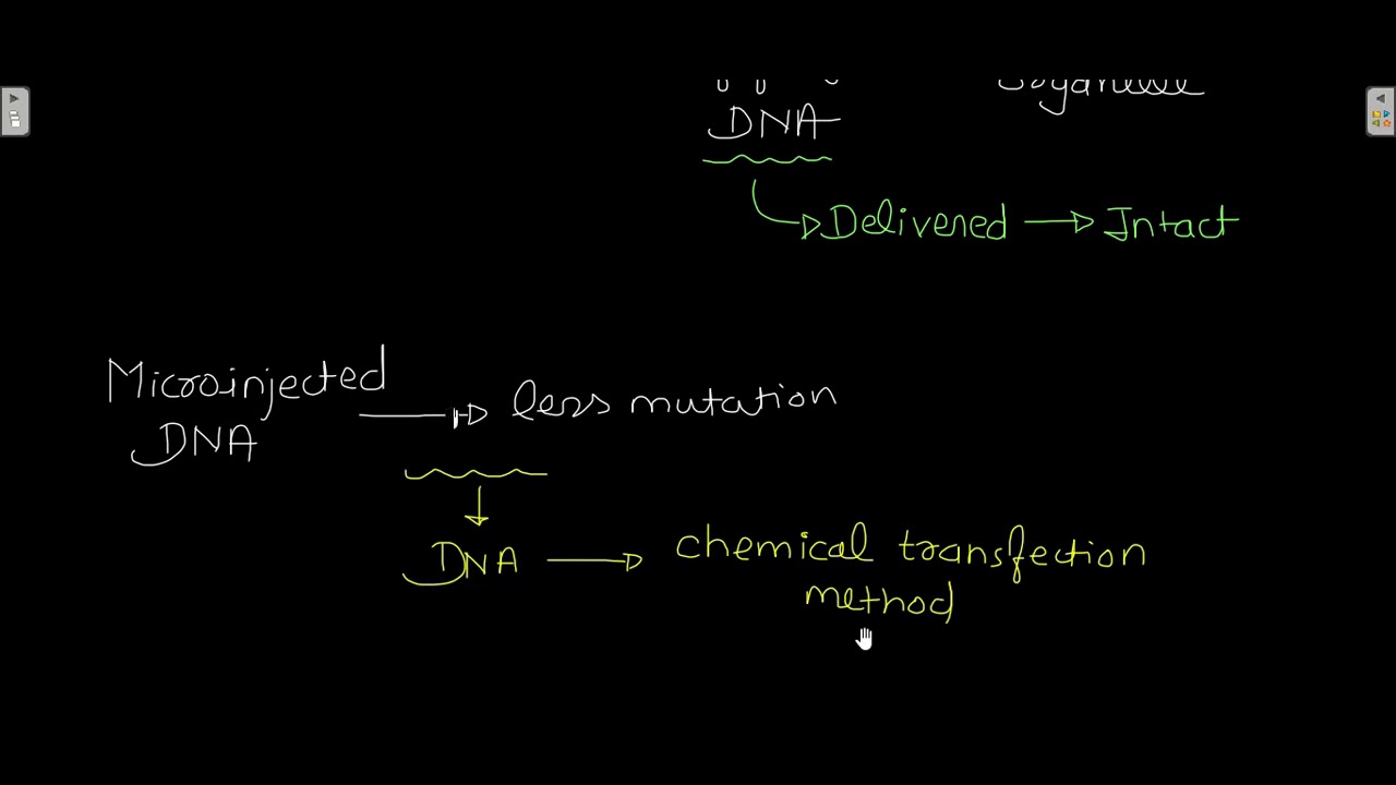 Physical Transfection method
