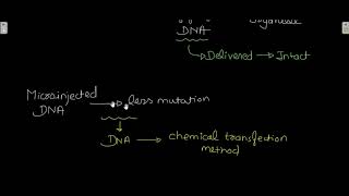 Physical Transfection method