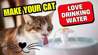 7 Genius Tricks to Get Your Cat to Drink More Water 🐱💧