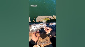 Loading the crab snare before casting #shorts #shortsvideo #sanfrancisco #crabbing #fishing #sf