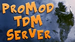 My CoD4 Promod TDM Server