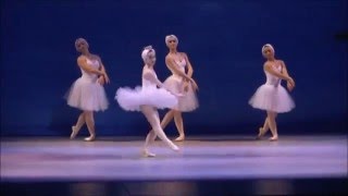 Eastern Connecticut Ballet Ballerina Swan Finale