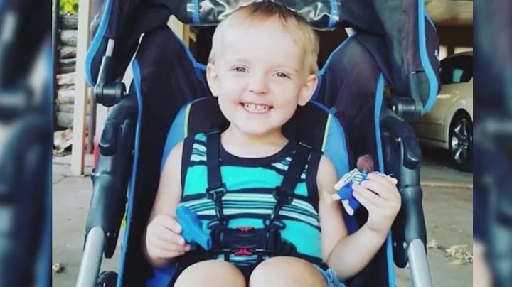 Information update on Justice for Wilder
