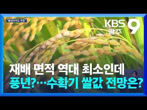 재배 면적 역대 최소인데 풍년?…수확기 쌀값 전망은? / KBS  2026.09.29.