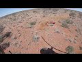 Aerial Mustering Western Australia