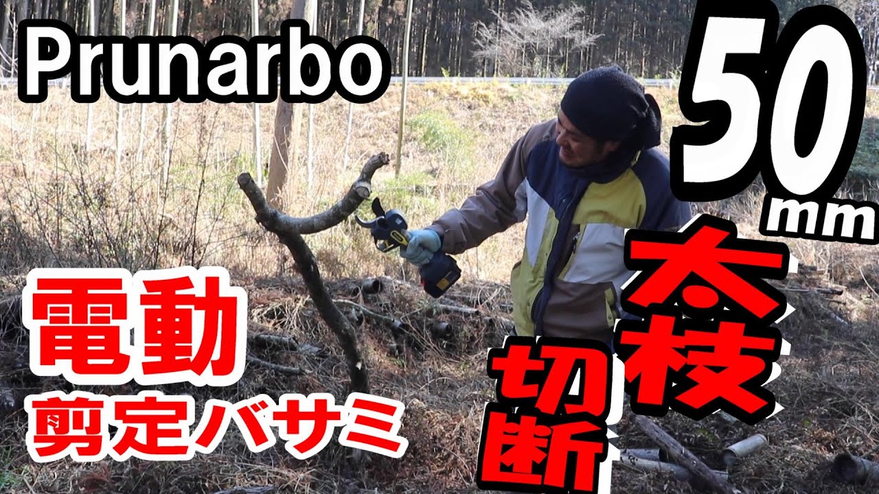 Prunarbo電動剪定バサミで雑木も楽々カット‼ 50mmの太枝もスパッと切断