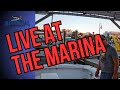 Reel Deal Sportfishing is live!