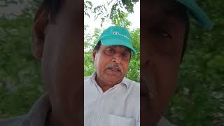 song gupt