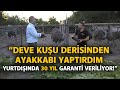 "Erişkin Bir Deve Kuşu 8-10 Bin TL Civarında!" - Kanatlı Alemi