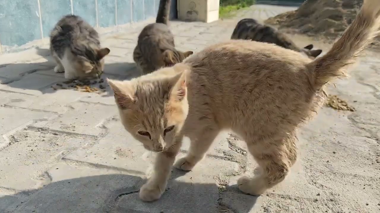 ❤️‍🔥🥹🙏 