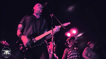 Dartgun & the Vignettes live at the Twilight - "Swingset"