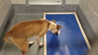 acs A663473