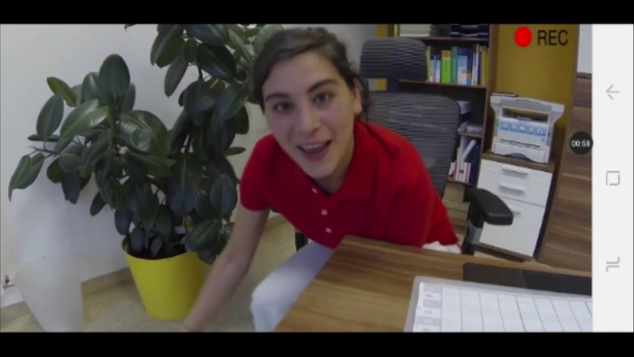 Schritte International A1 1   Beruf und Arbeit