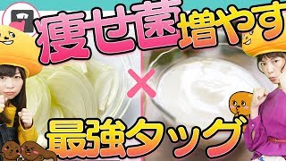 玉ねぎヨーグルトでダイエット！便秘解消が1日スプーンたったの6杯！うんちダスエット#5