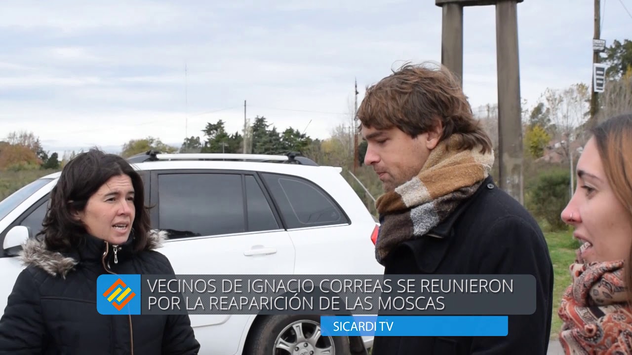 A pesar del frío vuelven las moscas a Correas