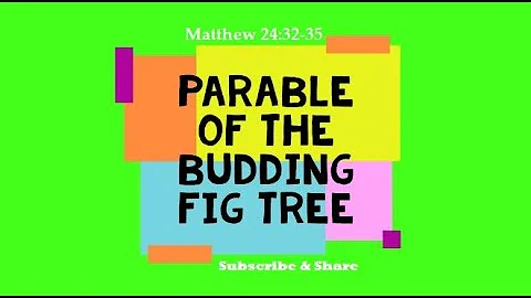 Parable of the Budding Fig Tree (Matthew 24:32-35)